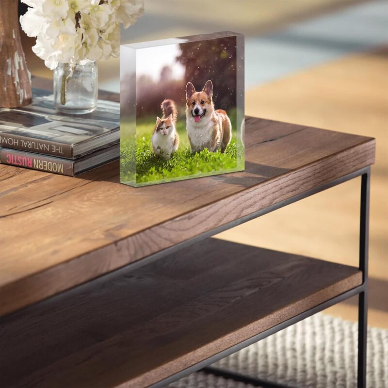 TULLUN Personalisierte Individuelle Benutzerdefinierte Haustier Denkmal Hund Katze Tier Acryl Kristall Klar Block Plaque Plakette Foto Text Name Datum - Vollständiger Druck 3D Effekt – Bild 6