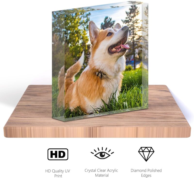 TULLUN Personalisierte Individuelle Benutzerdefinierte Haustier Denkmal Hund Katze Tier Acryl Kristall Klar Block Plaque Plakette Foto Text Name Datum - Vollständiger Druck 3D Effekt – Bild 2